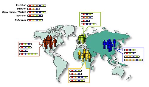 1000 Genomes Project